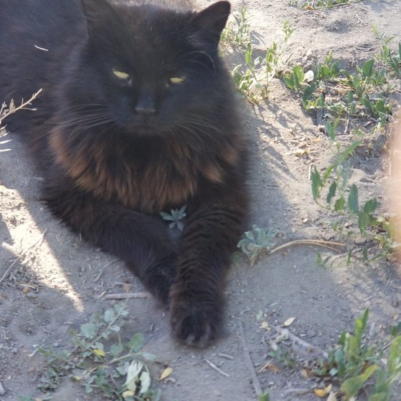 When u miss someone or something ♥️♥️ - Picture 4 of 9